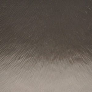 Cincilla-bronzova-15